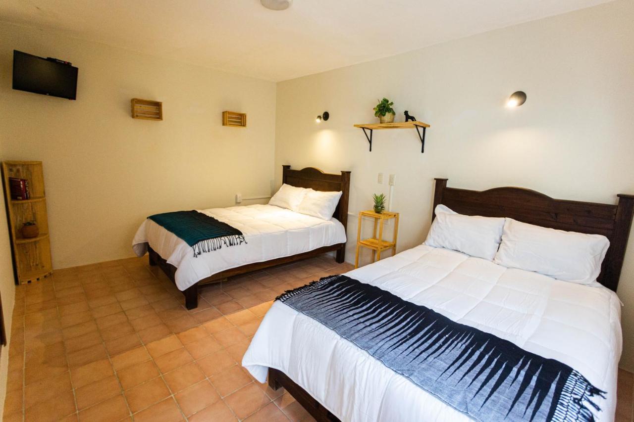 Casa Venus Hotell San Cristóbal de Las Casas Exteriör bild