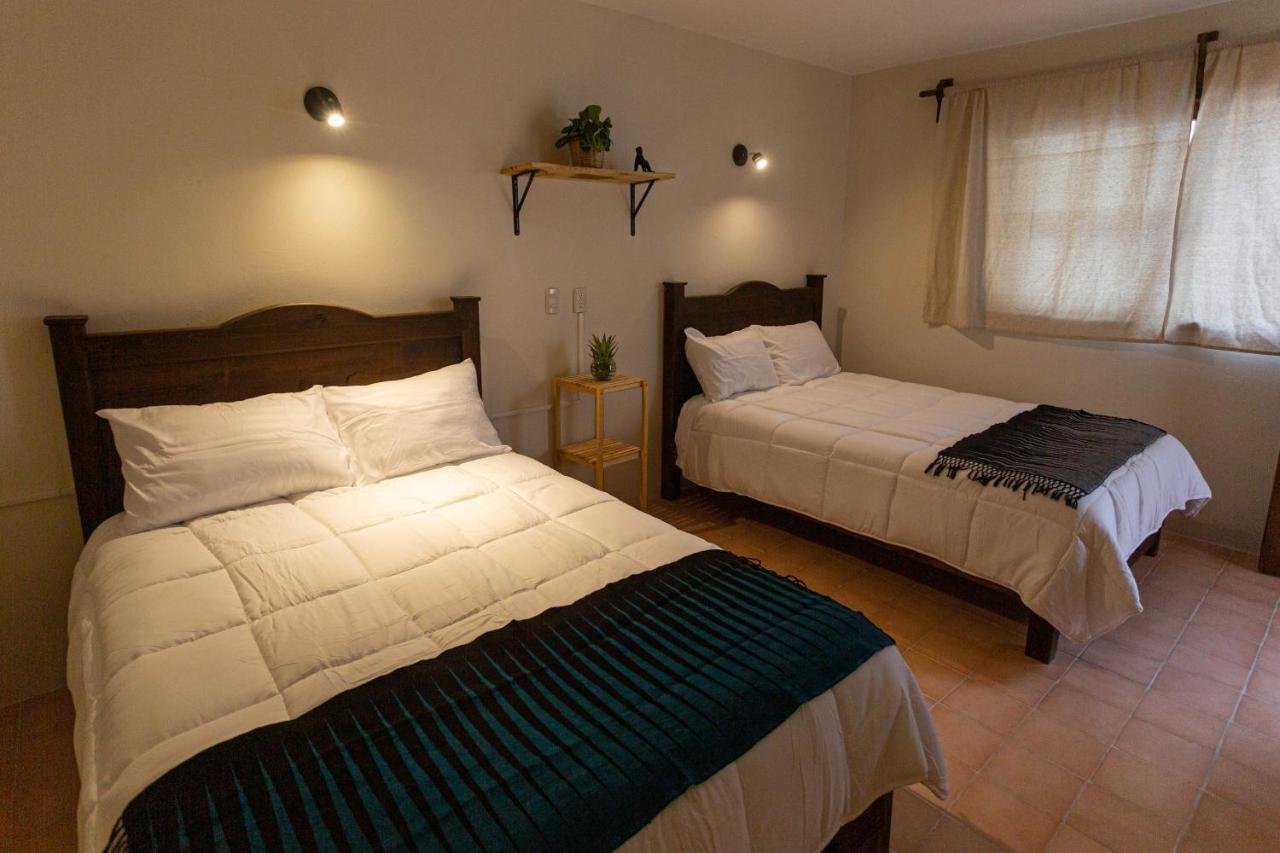 Casa Venus Hotell San Cristóbal de Las Casas Exteriör bild